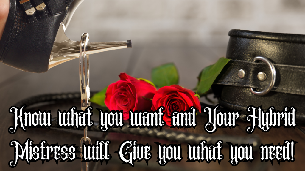 Pleasing Your Mistress: Mistress Pleasure Comes First! High heel with handcuffs, Red Rose and Leather whip and leather shackles